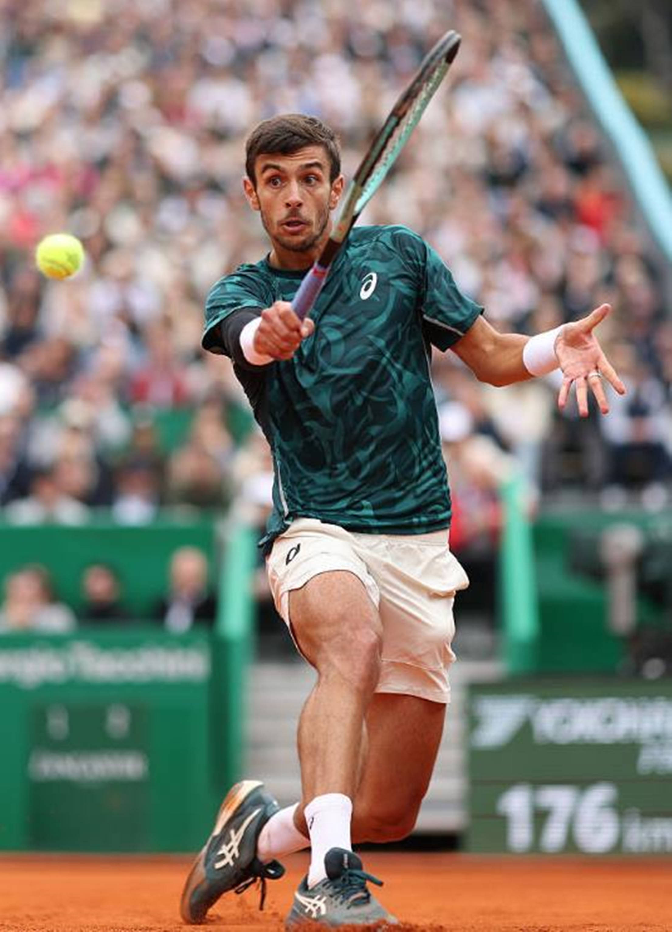 更是士气的 更是士气的