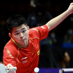 沉浸式的观 沉浸式的观