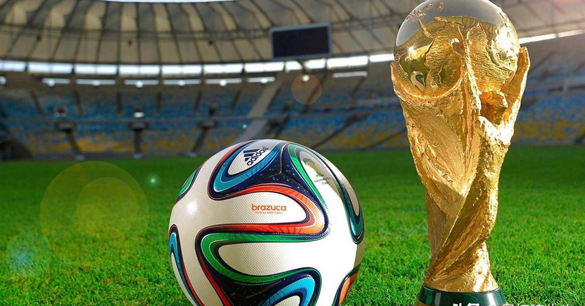 素质和坚韧 素质和坚韧